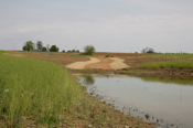 Wetland 2 and Drainage 4