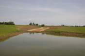 Wetland 2 and Drainage