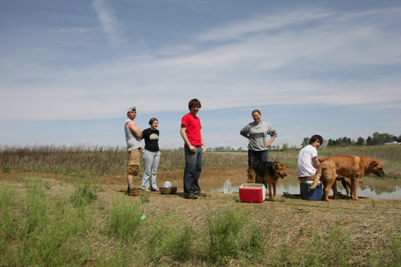 Full Size Image = 1641 K