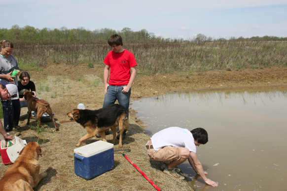 Full Size Image = 1734 K