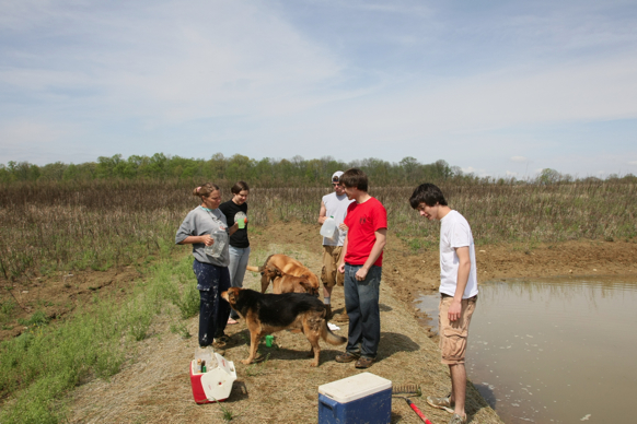 Full Size Image = 1615 K