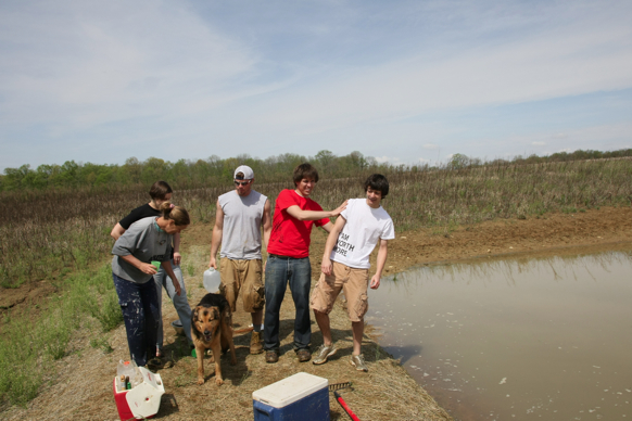 Full Size Image = 1491 K