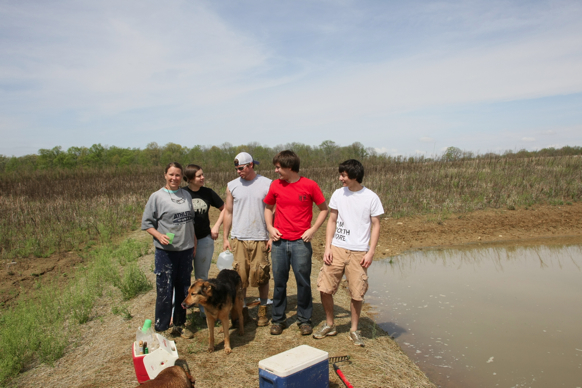 Full Size Image = 1520 K