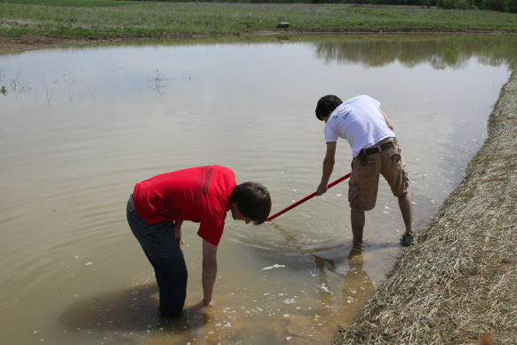 Full Size Image = 1455 K