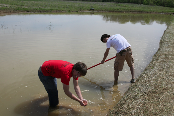 Full Size Image = 1481 K