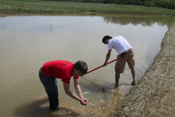 Full Size Image = 1468 K