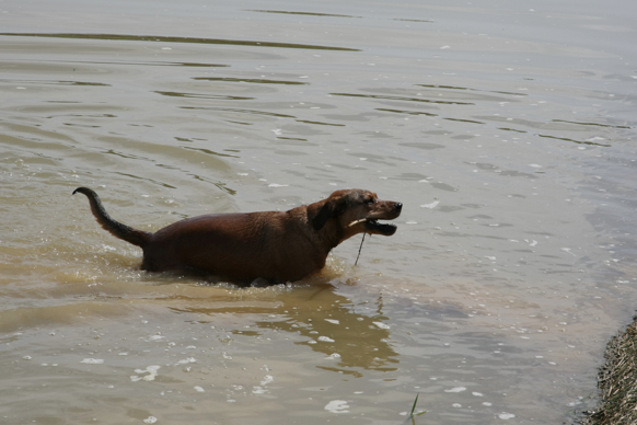 Full Size Image = 1164 K