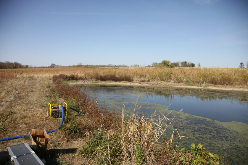 Full Size Image = 4923 K