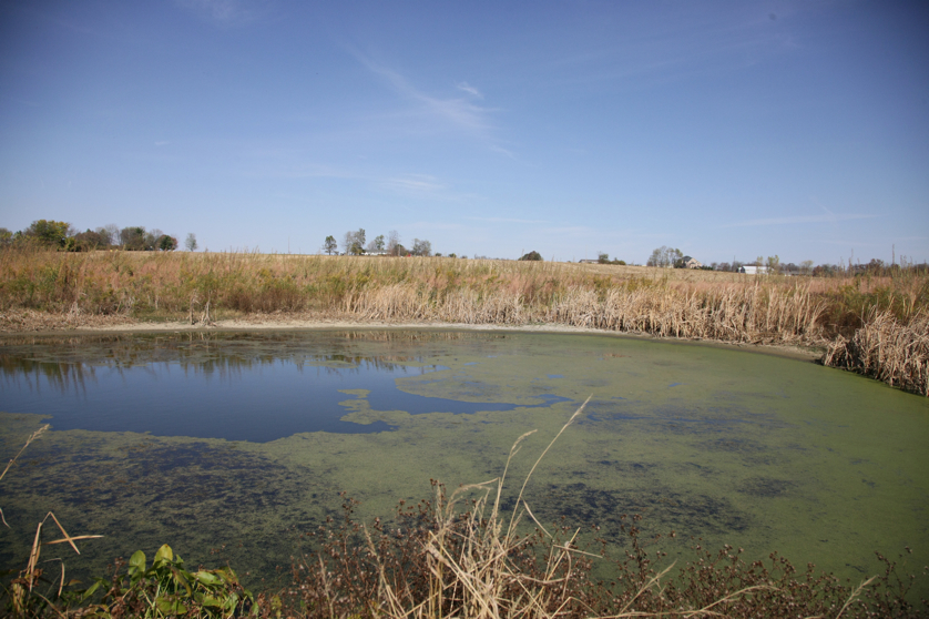 Full Size Image = 4499 K