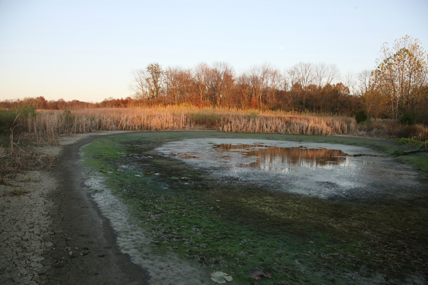 Full Size Image = 4690 K