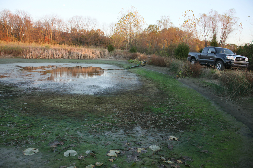 Full Size Image = 5762 K