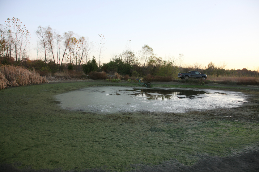 Full Size Image = 4402 K