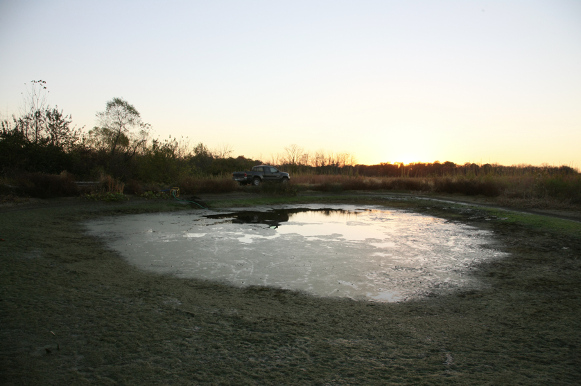 Full Size Image = 4004 K