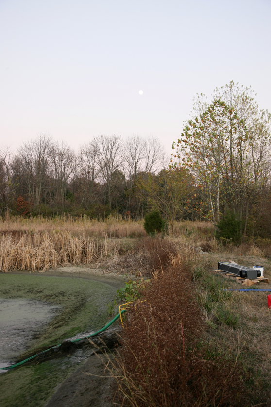 Full Size Image = 4305 K