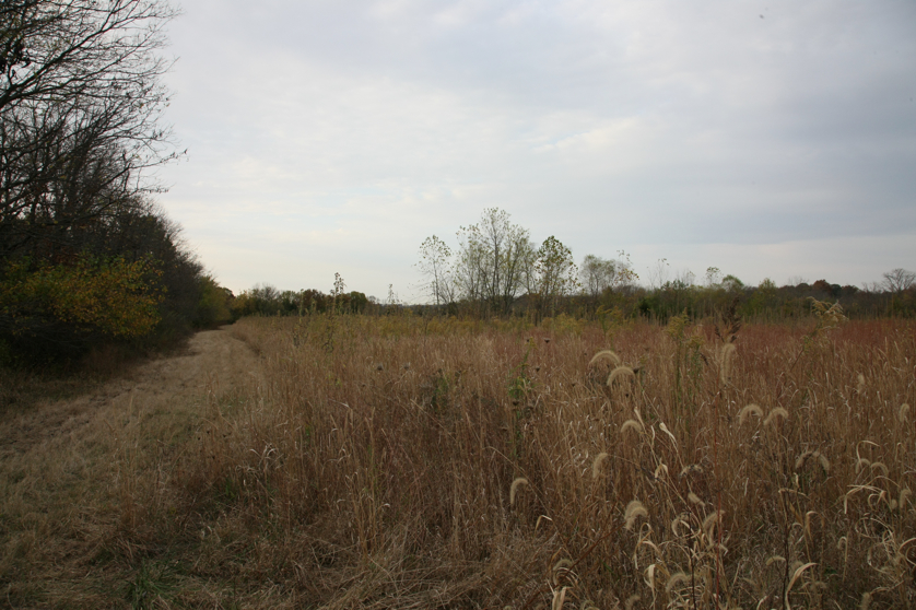 Full Size Image = 4733 K