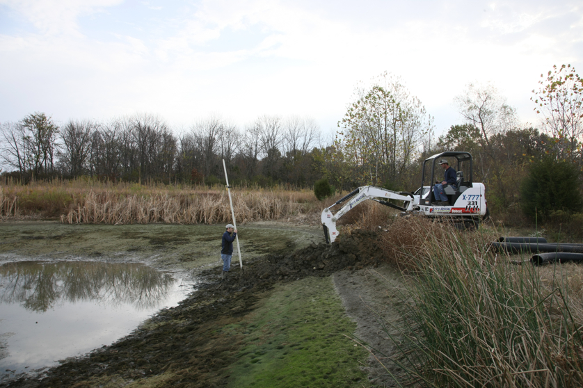 Full Size Image = 4858 K