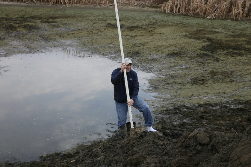 Full Size Image = 4185 K