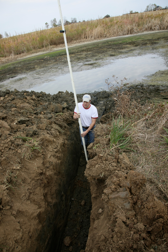 Full Size Image = 4652 K