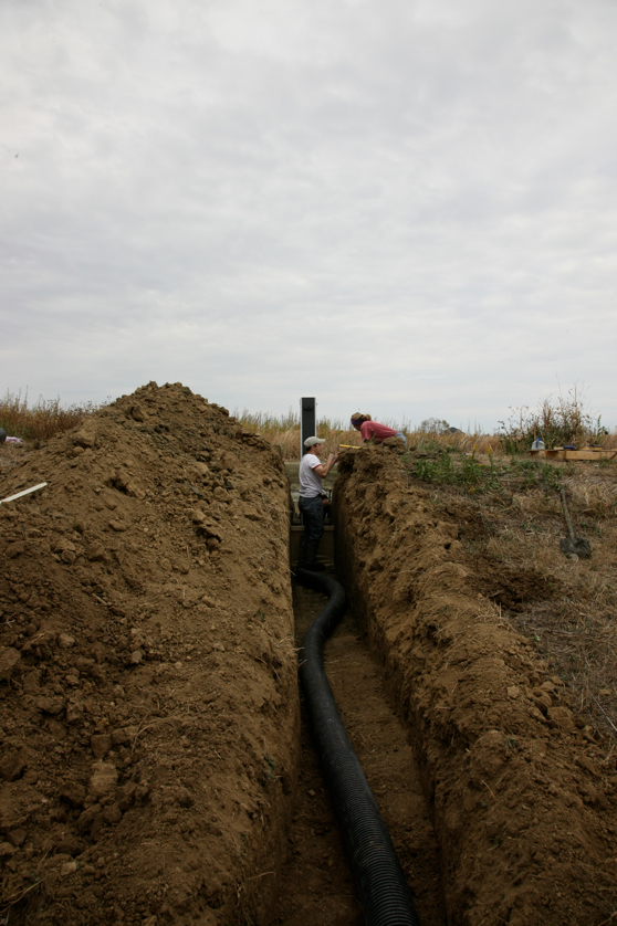 Full Size Image = 3508 K