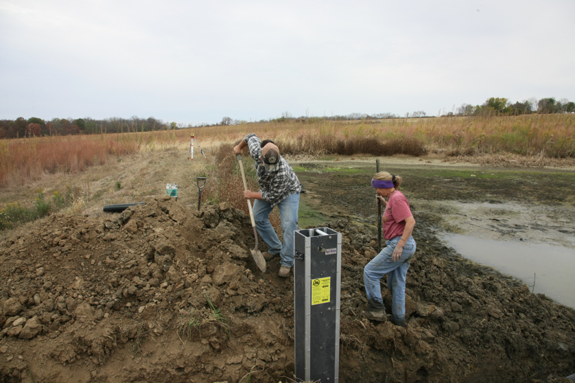 Full Size Image = 4538 K