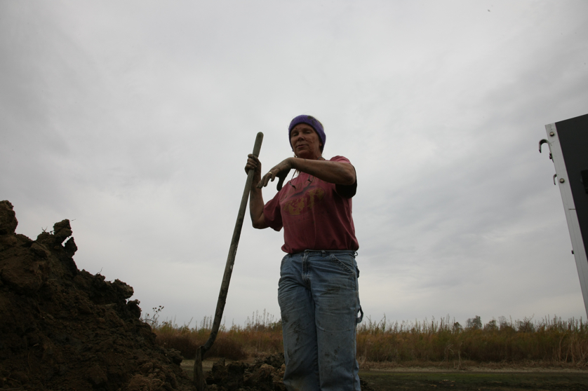 Full Size Image = 2411 K