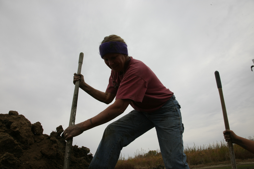 Full Size Image = 2424 K