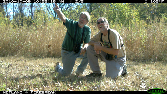 Full Size Image = 440 K