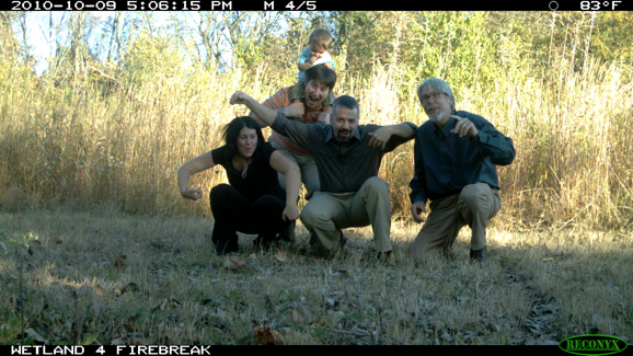 Full Size Image = 471 K