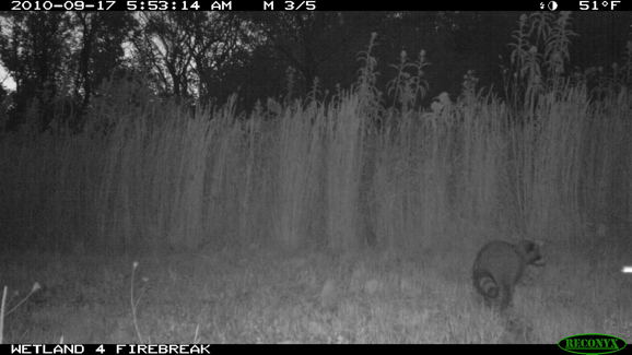 Full Size Image = 248 K