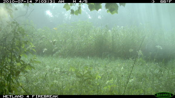 Full Size Image = 289 K