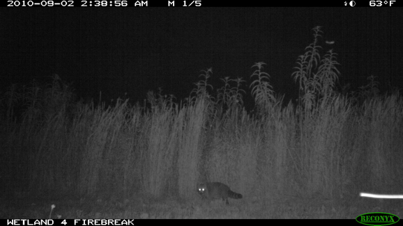 Full Size Image = 235 K