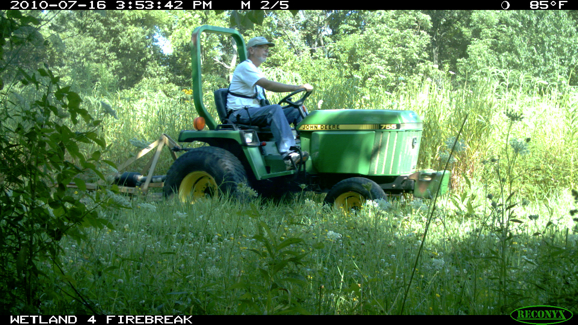 Full Size Image = 491 K