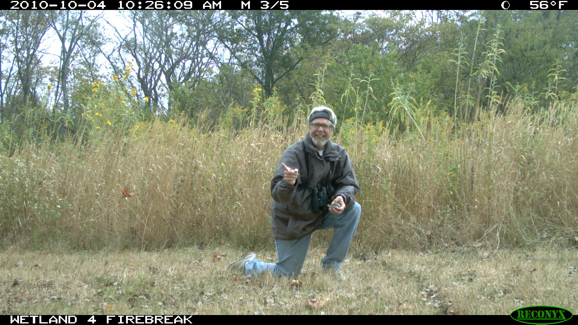 Full Size Image = 472 K