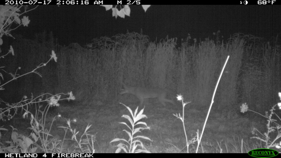 Full Size Image = 249 K