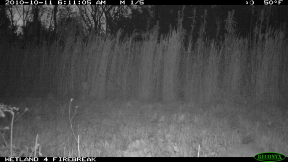 Full Size Image = 240 K