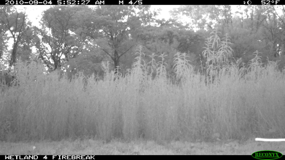 Full Size Image = 261 K