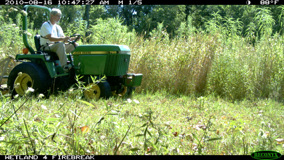 Full Size Image = 613 K