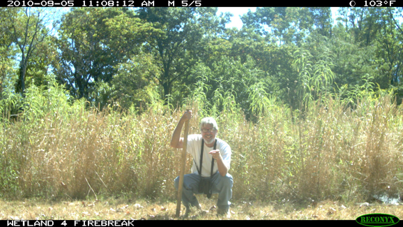 Full Size Image = 459 K