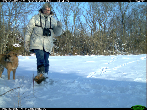 Full Size Image = 2168 K