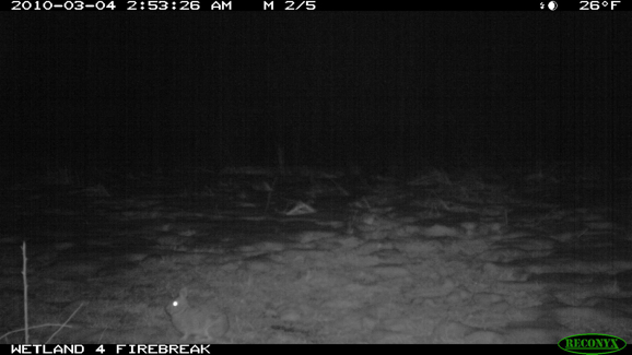 Full Size Image = 638 K