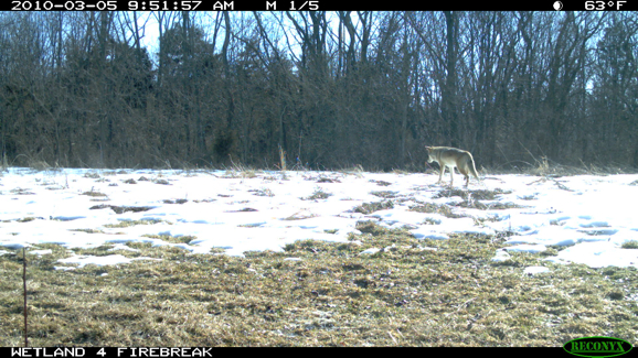 Full Size Image = 2253 K