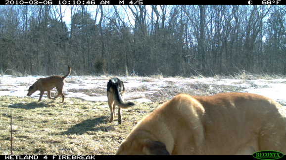 Full Size Image = 2159 K