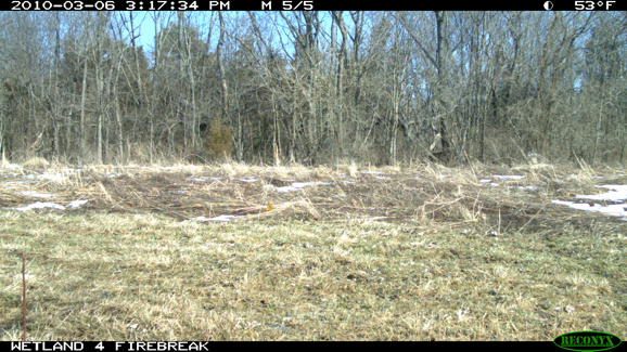 Full Size Image = 2415 K