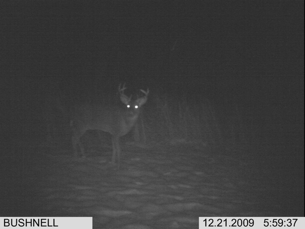 Full Size Image = 1080 K