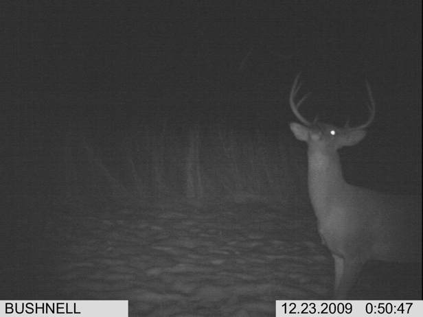 Full Size Image = 1083 K