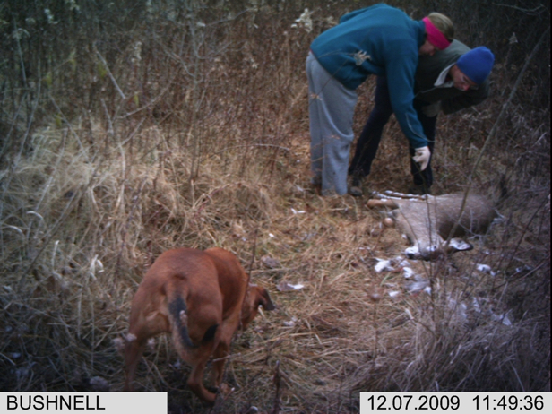 Full Size Image = 2142 K