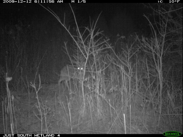 Full Size Image = 583 K