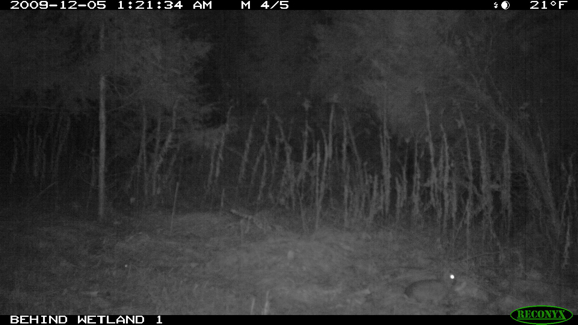 Full Size Image = 695 K