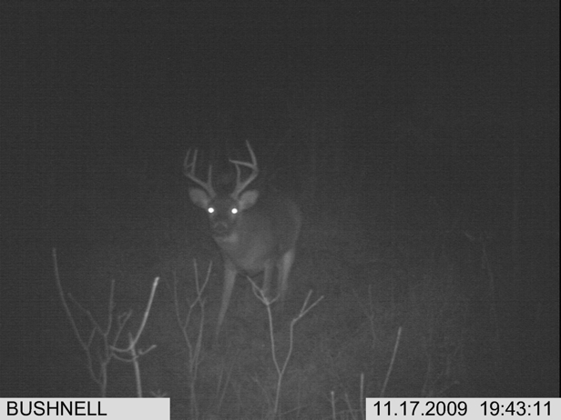 Full Size Image = 1088 K