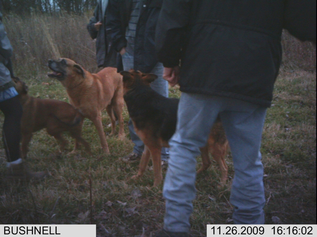 Full Size Image = 1921 K